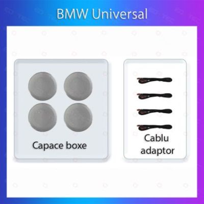 Lumini Ambientale dedicate BMW difuzor iluminat control telefon sau sistem original