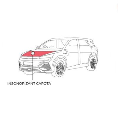 Pachet insonorizant capotă Dr Artex EV